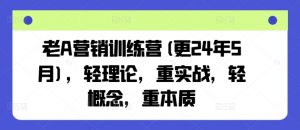 老A营销训练营(更24年12月)，轻理论，重实战，轻概念，重本质-海旭网创