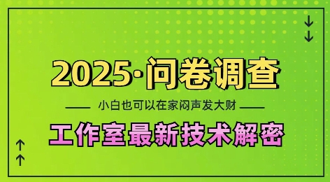 2025问卷调查最新工作室技术解密：一个人在家也可以闷声发大财，小白一天2张，可矩阵放大【揭秘】-海旭网创