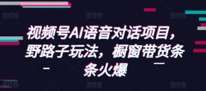 视频号AI语音对话项目,野路子玩法,橱窗带货条条火爆-海旭网创