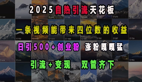 2025自热引流天花板，一条视频能带来四位数的收益，引流+变现双管齐下，日引500+创业粉，涨粉嘎嘎猛-海旭网创