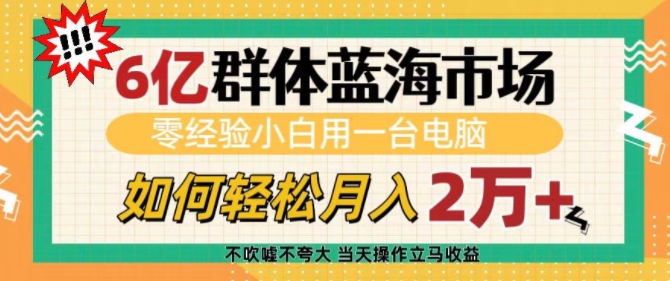 6亿群体蓝海市场，零经验小白用一台电脑，如何轻松月入过w【揭秘】-海旭网创