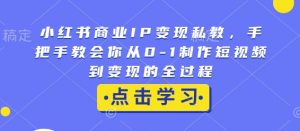 小红书商业IP变现私教，手把手教会你从0-1制作短视频到变现的全过程-海旭网创