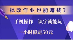 批改作业也能赚钱？0门槛手机项目，识字就能玩！一小时50元！-海旭网创