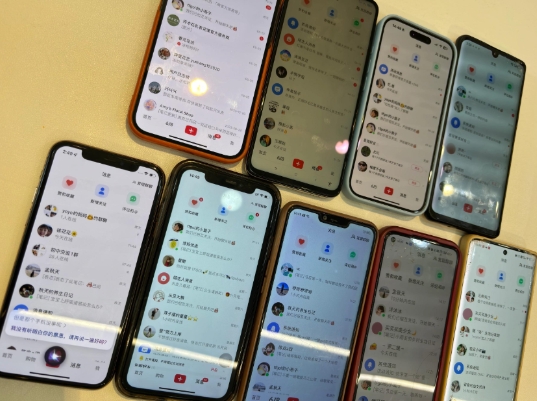 首发揭秘小红书私域日引500+创业粉四大模板，月入过W+全程干货!没有废话!保姆教程!-海旭网创