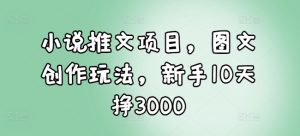 小说推文项目，图文创作玩法，新手10天挣3000-海旭网创