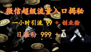 微信超级流量入口揭秘：一小时引流 99 + 创业粉，日涨粉 999 +-海旭网创