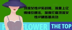 顶流女性IP实战班，流量上亿情绪引爆法，深度打磨顶流女性IP硬核基本功-海旭网创