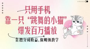 只用手机靠一只“跳舞的小猫”爆发百万播放，狂撸分成收益，保姆级教学-海旭网创