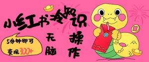 小红书冷知识账号，无脑复制粘贴，5分钟即可变现3张-海旭网创
