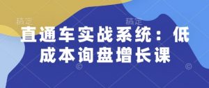 直通车实战系统：低成本询盘增长课，让个人通过技能实现升职加薪，让企业低成本获客，订单源源不断-海旭网创
