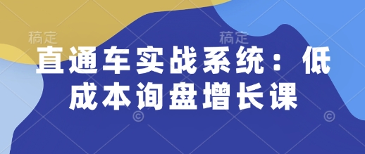 直通车实战系统：低成本询盘增长课，让个人通过技能实现升职加薪，让企业低成本获客，订单源源不断-海旭网创