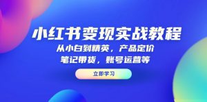 小红书变现实战教程：从小白到精英，产品定价，笔记带货，账号运营等-海旭网创