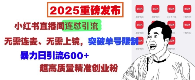 2025重磅发布：小红书直播间连怼引流，无需连麦、无需上镜，突破单号限制，暴力日引流600+-海旭网创
