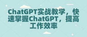 ChatGPT实战教学，快速掌握ChatGPT，提高工作效率-海旭网创