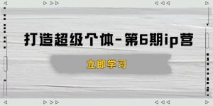 打造 超级个体-第6期ip营：商业认知,产品设计,成交演练,解决知识变现难题-海旭网创