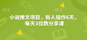 小说推文项目，新人操作6天，每天3位数分享课-海旭网创
