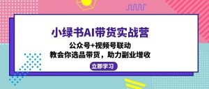 小绿书AI带货实战营：公众号+视频号联动，教会你选品带货，助力副业增收-海旭网创