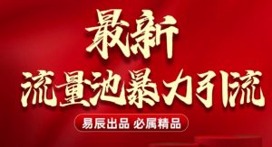 最新“流量池”无门槛暴力引流(全网首发)日引500+-海旭网创