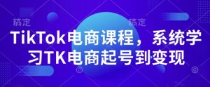 TikTok电商课程，​系统学习TK电商起号到变现-海旭网创