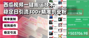 西瓜视频一键搬运技术，稳定日引流300+精准创业粉，简单可复制给团队，...-海旭网创