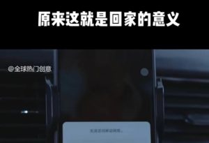 利用春节风口，制作热点视频，多种玩法类型，新手也能轻松变现！-海旭网创