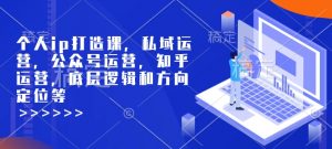 个人ip打造课，私域运营，公众号运营，知乎运营，底层逻辑和方向定位等-海旭网创