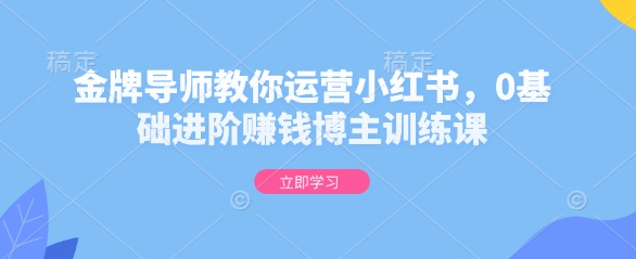 金牌导师教你运营小红书，0基础进阶赚钱博主训练课-海旭网创