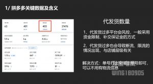 纪主任·拼多多年费会员(更新2025年1月)-海旭网创