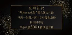 小红书神奇图片引流法，只需一张图，就能单条笔记凭借此方法，轻松引流 300 + 精准创业粉-海旭网创