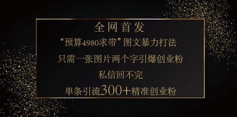 小红书神奇图片引流法，只需一张图，就能单条笔记凭借此方法，轻松引流 300 + 精准创业粉-海旭网创