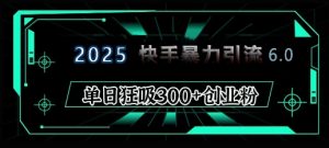 2025年快手6.0保姆级教程震撼来袭，单日狂吸300+精准创业粉-海旭网创