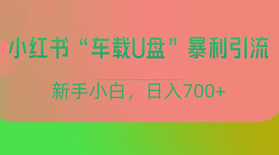小红书“车载U盘”项目，暴利引流，新手小白轻松日入700+-海旭网创