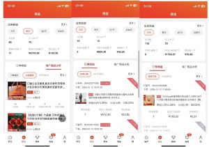 2025最新京东蓝海项目，0 门槛日入 1k+，小白宝妈轻松上手【揭秘】-海旭网创