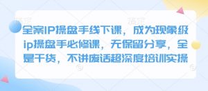 全案IP操盘手线下课，成为现象级ip操盘手必修课，无保留分享，全是干货，不讲废话超深度培训实操-海旭网创