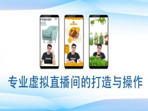 个人虚拟直播间的搭建与操作，专业虚拟直播间的打造与操作-海旭网创