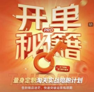 淘宝开单秘籍PRO,量身定制淘天实战陪跑计划,告别做店迷茫、快速突破运营瓶颈期-海旭网创