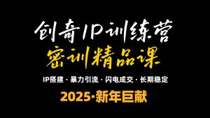 2025年“知识付费IP训练营”小白避坑年赚百万，暴力引流，闪电成交-海旭网创