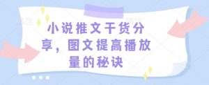 小说推文干货分享，图文提高播放量的秘诀-海旭网创