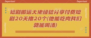 短剧搬运大佬经验分享付费短剧20天撸20个(他能吃肉我们就能喝汤)-海旭网创