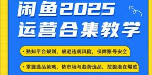 2025闲鱼电商运营全集，2025最新咸鱼玩法-海旭网创