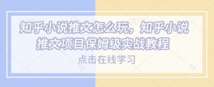 知乎小说推文怎么玩，知乎小说推文项目保姆级实战教程-海旭网创