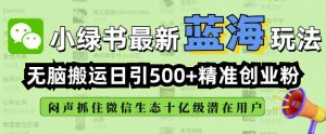 小绿书无脑搬运引流，全自动日引500精准创业粉，微信生态内又一个闷声发财的机会-海旭网创
