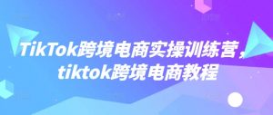 TikTok跨境电商实操训练营，tiktok跨境电商教程-海旭网创