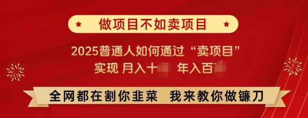 必看，做项目不如卖项目，2025普通人如何通过“卖项目”实现月入十个，年入百个-海旭网创