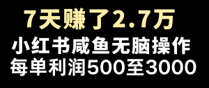 全网首发，7天赚了2.6万，2025利润超级高！-海旭网创