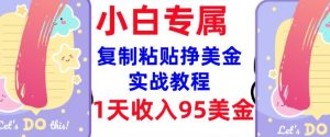 复制粘贴挣美金，0门槛，1天收入95美刀，3分钟学会，内部教程(首次公开)-海旭网创