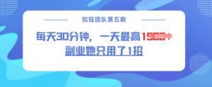 副业她只用了1招，每天30分钟，无脑二创，一天最高1.5k-海旭网创