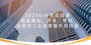 2025AI外贸实战课：涵盖建站、开发、营销, 从零到三全面掌握外贸技能-海旭网创