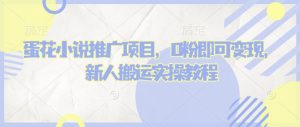 蛋花小说推文项目，0粉即可变现，新人搬运实操教程-海旭网创