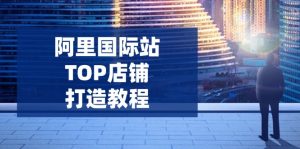 阿里国际站TOP店铺打造教程：涵盖平台到高阶，解决运营难题，提升询盘-海旭网创